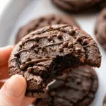 Chocolate Fudge Cake Mix Cookies